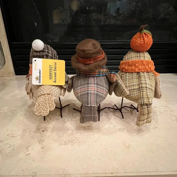 Set of 3 Walmart harvest fabric fall birds scarf glasses target inspired - Picture 4 of 7